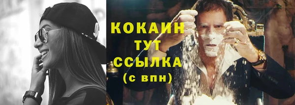 mix Белокуриха