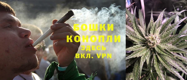 mix Белокуриха