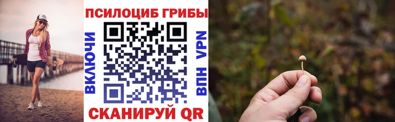 Купить закладки  Белово  Псилоцибиновые грибы Cubensis 